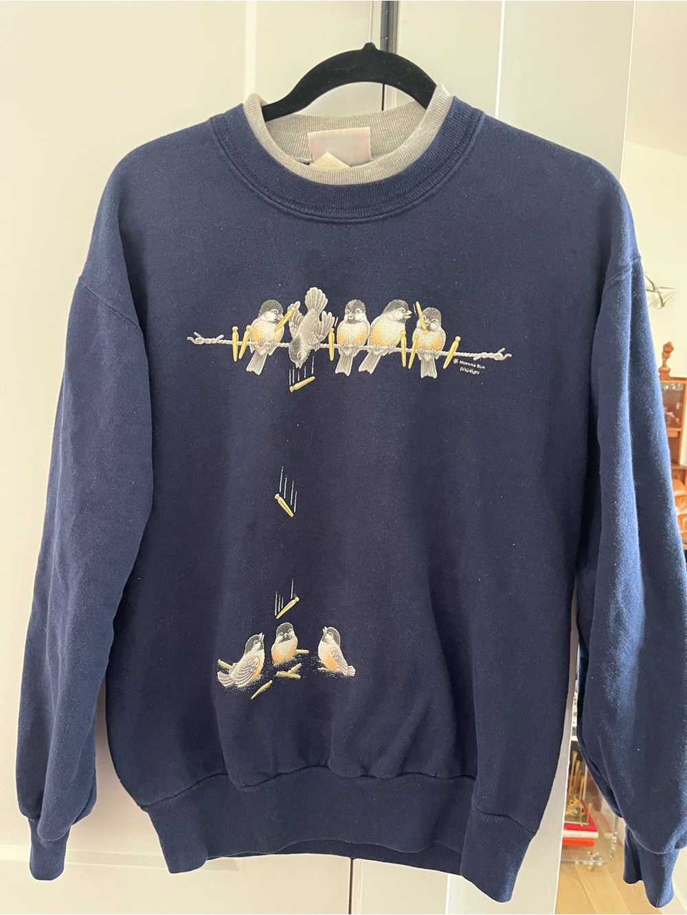 Vtg 90’s Morning Sun Whitton artist, Birds on clothesline Sweatshirt Cottagecore